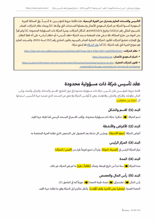 الصفحة الأولى من نموذج النظام الأساسي بالعربية، وفيها التنبيه إلى جهة القيد